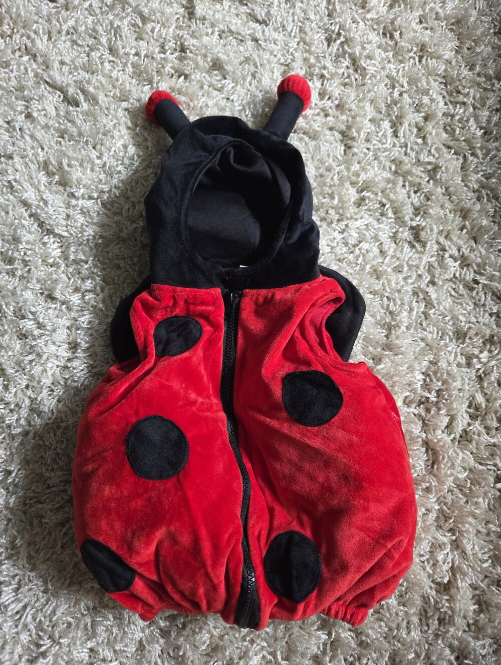 Lady Bug